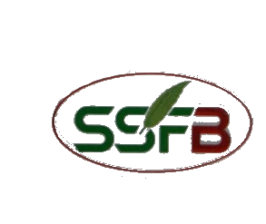 SSFB